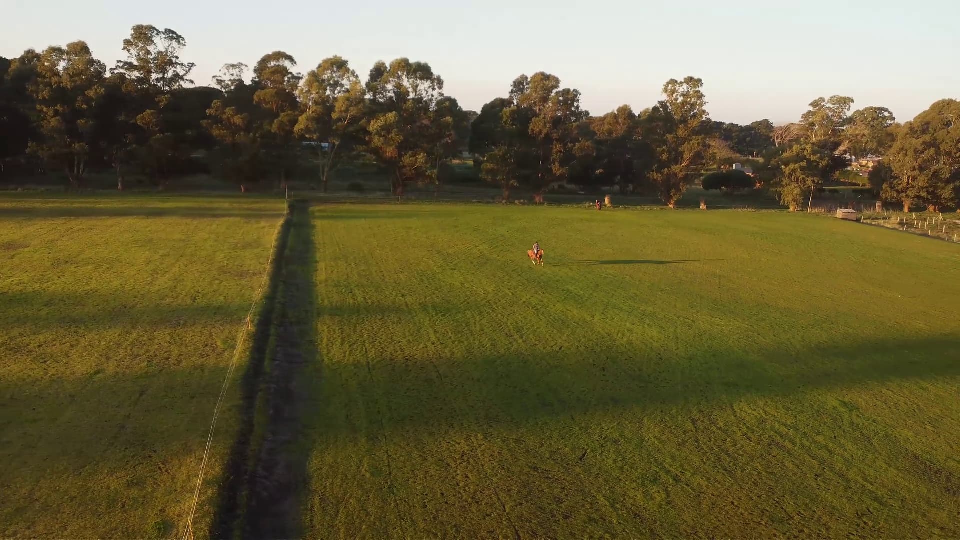 Cancha de Polo Profesional